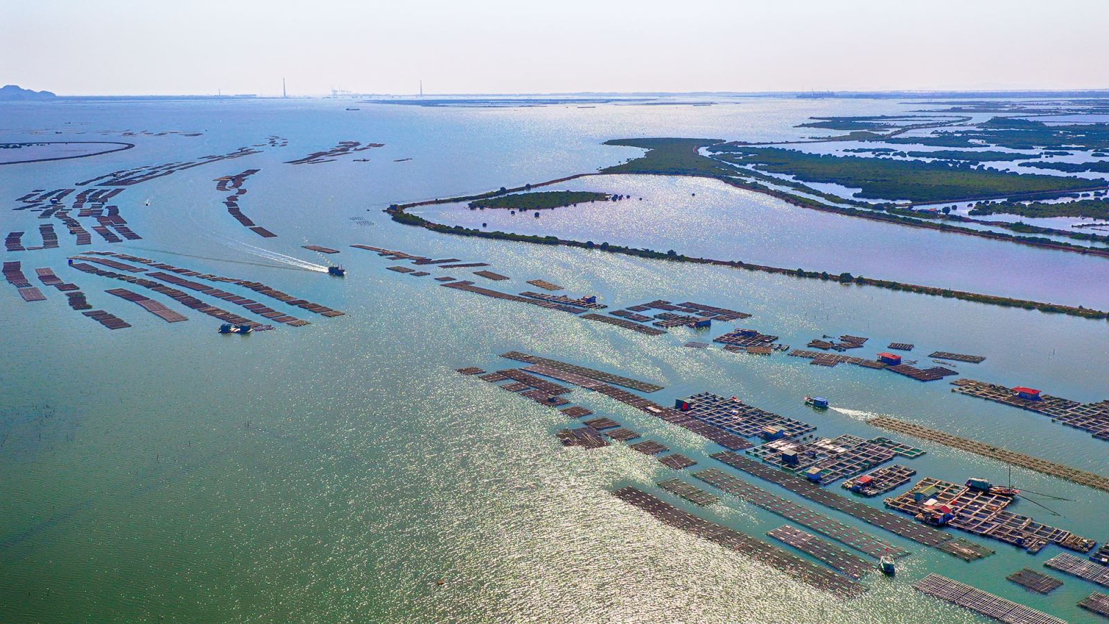 Quảng Ninh có khu kinh tế ven biển rộng hơn 13.000 ha