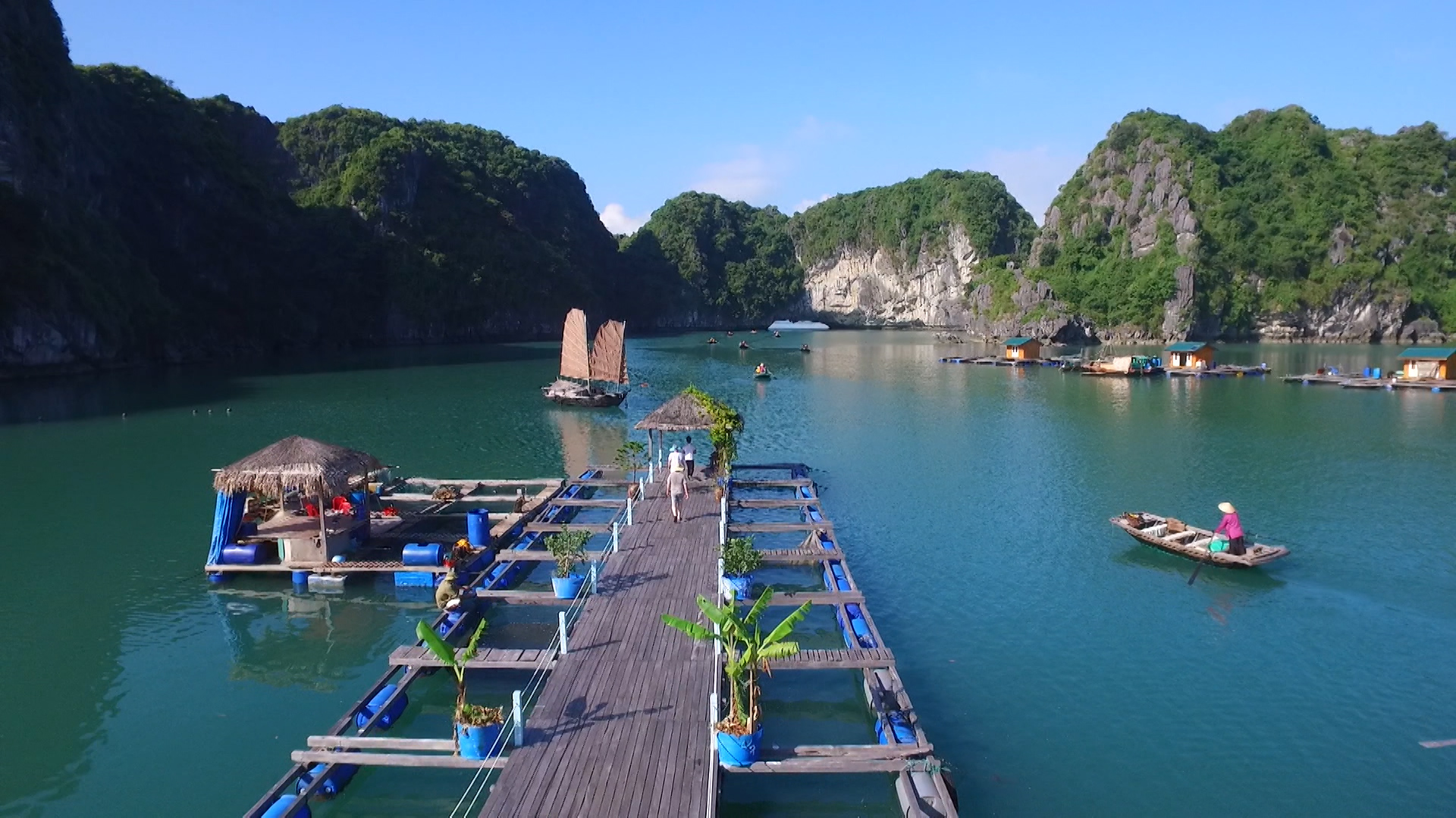 Giữ Vịnh Hạ Long xanh